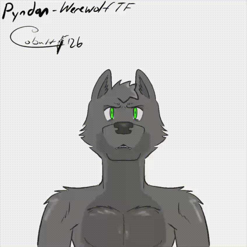 Pyndan_TF